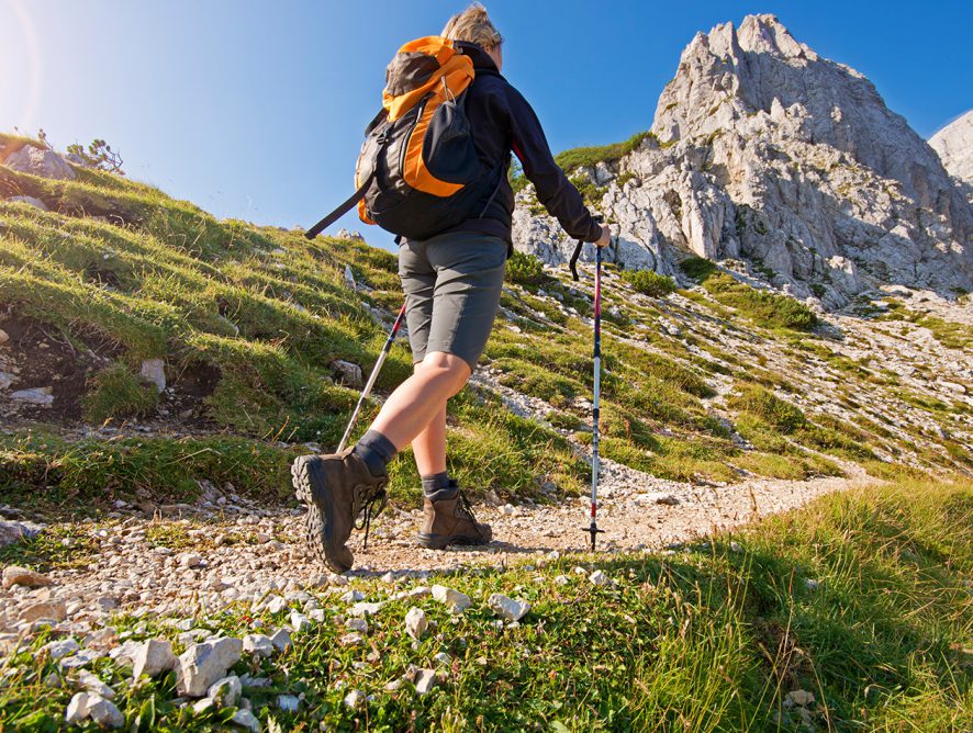 Urban Alaska: Anchorage offers hiking, beer tours and culture in state’s largest city